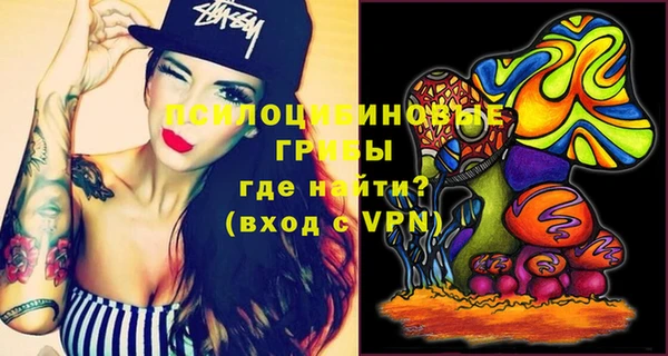 PSILOCYBIN Жердевка