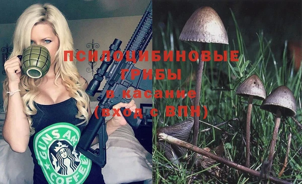 ALPHA PVP Михайловск