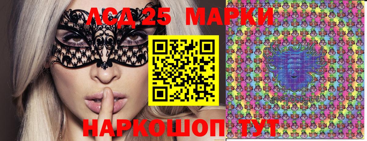 купить наркотики сайты  Наркотические марки 1,5мг  Вход с VPN  Наркотические марки 1,5мг  Бердск 