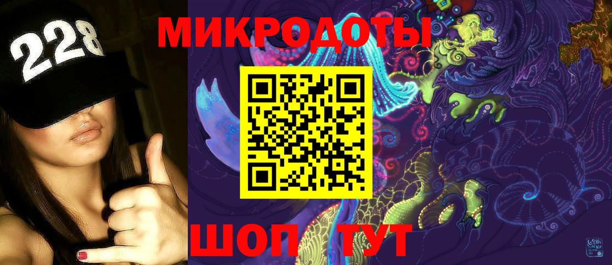 Галлюциногенные грибы Cubensis Бердск