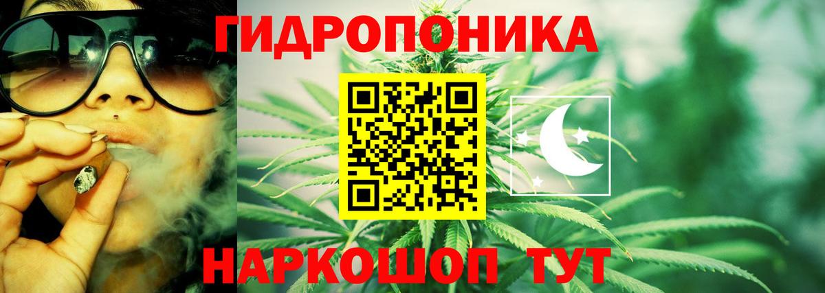 Конопля Bruce Banner  Бошки Шишки индика  Вход с VPN  Бердск  Шишки марихуана индика 