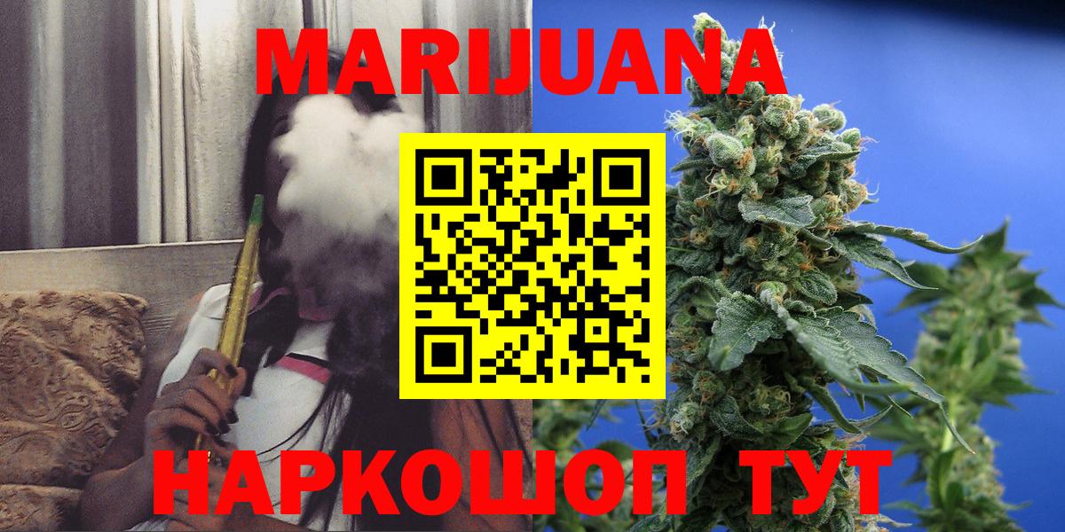 Каннабис план Бердск